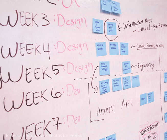 project management